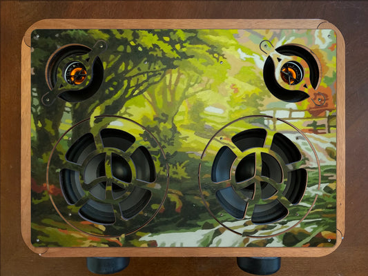 Waterfall in the Forest