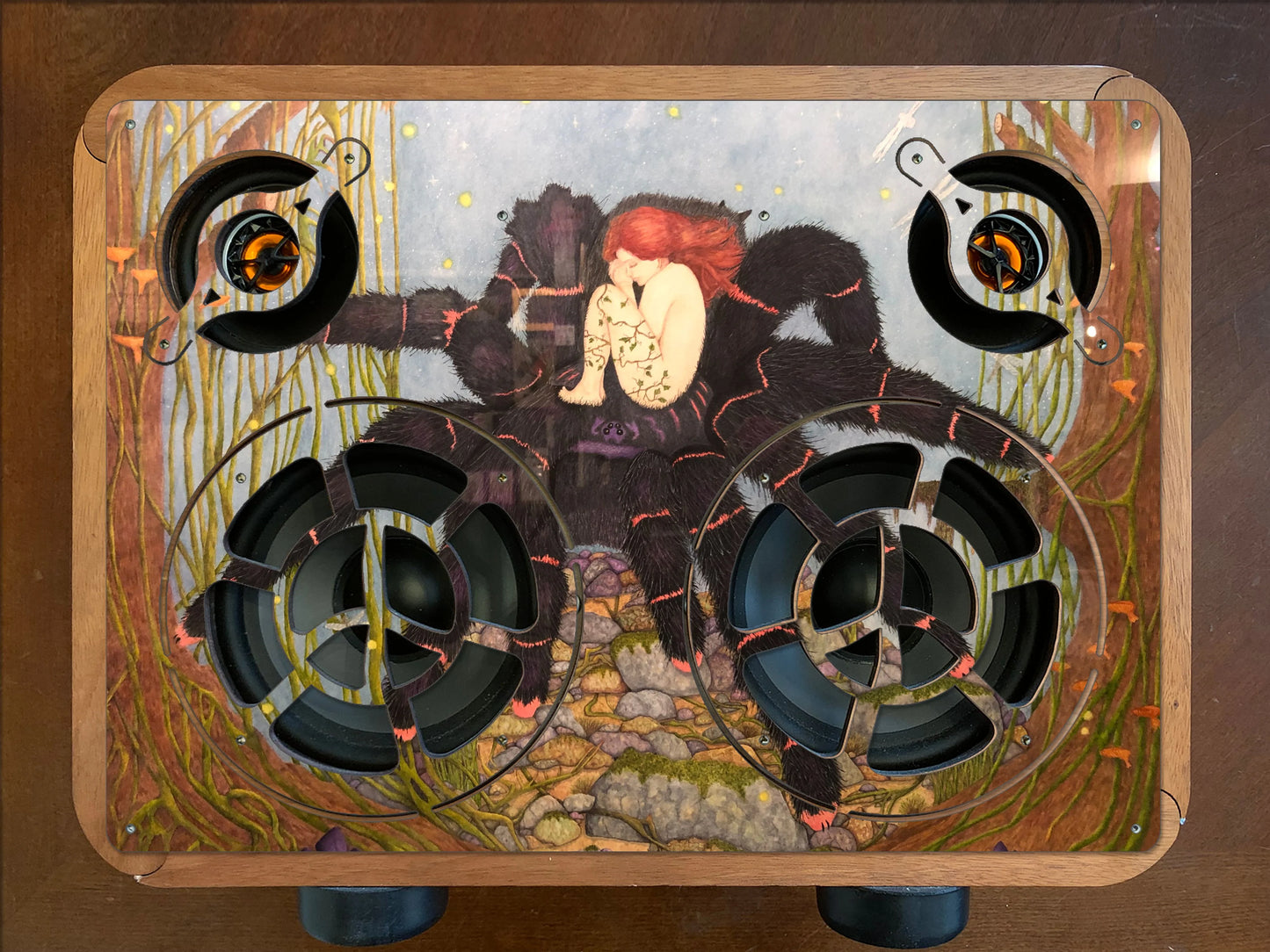 Tarantula Dreaming